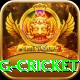 1st inning betting cricket Games (Casino & Earning) Ultimate v5.6.2