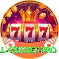 all cricket Casino Mega v1.7.7
