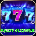 andy flower Premium Plus v5.8.5