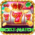 bangladesh cricket match Pro Edition v2.8.6