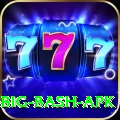 bbl big bash apk Games (Casino & Earning) Premium v2.9.8
