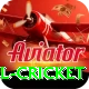 bbl cricket