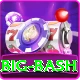 big bash Premium Plus v4.9.0