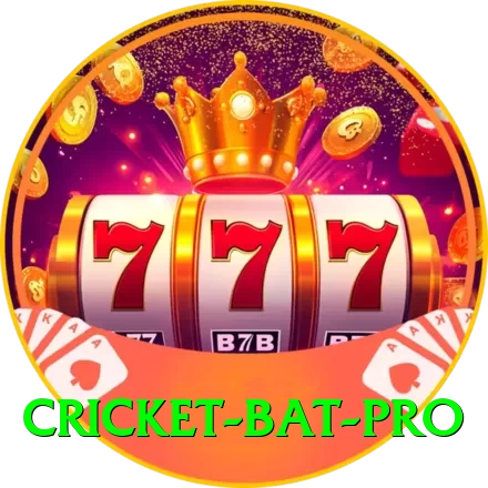 cricket bat Casino Legend v4.0.9 - 2
