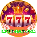 cricket bat Casino Legend v4.0.9