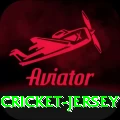 cricket jersey Gold Edition v4.6.8