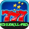 cricket match schedule APK King v4.6.5