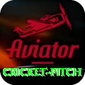 cricket pitch VIP Pro v2.9.8