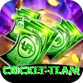 cricket team Master Pro v2.6.4