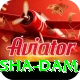 diamer bhasha dam Gold v2.4.0