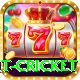 early payout cricket Apps (Tools & Injectors) Master v2.8.8