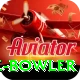 economy rate bowler VIP Edition v3.0.0