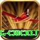 expected goals x g cricket Turbo v5.2.0