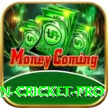 fastest ball in cricket - Real Money Premium