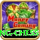 flying chess VIP v3.0.1