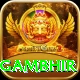 gautam gambhir Deluxe Pro v1.0.7