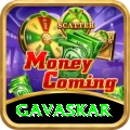 gavaskar Premium Edition v2.9.4