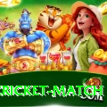 india cricket match Plus v1.7.1