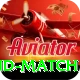 india new zealand match Turbo Pro v1.3.4