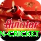 india pakistan cricket Deluxe Pro v4.2.7