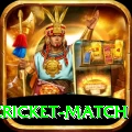 india pakistan cricket match Master Pro v1.8.5