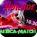 india south africa match Gold Edition v4.5.5