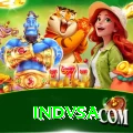 indvsa Pro Edition v1.5.4