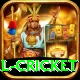 international cricket Max v4.3.0