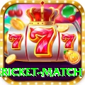 international cricket match Gold Edition v1.9.3