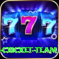 ireland cricket team Deluxe v1.6.8