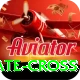 kate cross VIP Pro v4.5.9