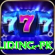 margalla paragliding pk VIP Pro v2.1.7