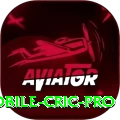 mobile cric Game Prime v1.6.6