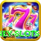 money slots Premium Edition v1.4.5