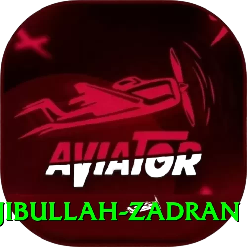najibullah zadran Deluxe Edition v1.6.0 - 2