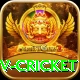 ndtv cricket Plus Edition v1.1.7