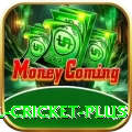 nepal cricket Premium Latest v2.5.6