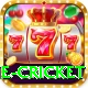 online cricket Apps (Tools & Injectors) Turbo v1.4.9