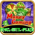 Pakistan Betting Site Plus Casino App