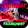 pakrummy Master Pro v1.4.6