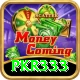 pkr333 App