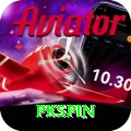 pkspin Premium Plus vv3.0.1