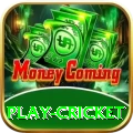 play cricket Max v5.0.3