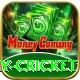 play cricket Max v5.0.3