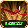 r cricket Pro Max v4.2.6