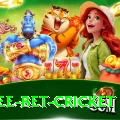 risk free bet cricket Apps (Tools & Injectors) VIP v2.7.0