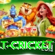 risk free bet cricket Apps (Tools & Injectors) VIP v2.7.0