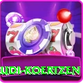 rudi koertzen Plus Pro v1.6.6