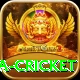 sa cricket Plus v3.5.8
