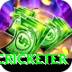 shahrukh khan cricketer Pro Edition v3.7.5